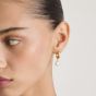 THOMAS SABO Bold Elegance 18ct Yellow Gold Plated Freshwater Pearl Drop Hoop Earrings CR766-430-14