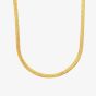 Ava & Sky 14ct Yellow Gold Plated Snake Chain ASN0027
