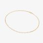 Hot Diamonds HD X Golden Edit 18ct Gold Plated Embrace Paperclip Chain CH120