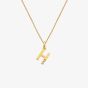 Hot Diamonds HD X Golden Edit Golden Edit H Pendant Necklace DP946