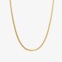 Hot Diamonds HD X Golden Edit Embrace Snake Chain Necklace CH101