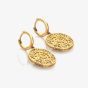 Hot Diamonds Golden Edit Athena Drop Earrings DE890