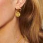 Hot Diamonds Golden Edit Athena Drop Earrings DE890
