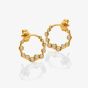 Hot Diamonds Golden Edit Tender Wreath Stud Earrings DE894