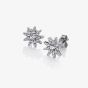 Hot Diamonds Emozioni Stella Stud Earrings EE037
