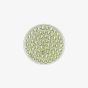 Hot Diamonds Emozioni Scintilla Peridot Nature 33mm Coin EC437