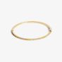 Coeur De Lion Eternal Love Gold Tone Stainless Steel Multi Colour Pastel Cubic Zirconia Bangle 0146/32-1590-19