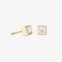 Coeur De Lion Brilliant Square Gold Plated Crystal Earrings 0501/21-1816