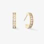 Coeur De Lion Gold Plated Crystal Hoop Earrings 0127/21-1816