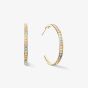 Coeur De Lion Gold Tone Multi Coloured Pastel Crystal Hoop Earrings 0128/21-1590