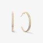 Coeur De Lion Gold Tone Clear Crystal Hoop Earrings 0128/21-1816