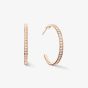 Coeur De Lion Rose Gold Tone Stainless Steel Crystal Hoop Earrings 0128/21-1822
