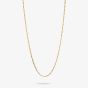 THOMAS SABO Gold Plated Figaro Charm Necklace KE2329-413-39-L45v
