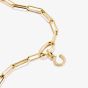 THOMAS SABO Charm Club Connect Gold Plated Cubic Zirconia Horseshoe Charm CC1280-414-14