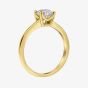 Diamonfire Gold Plated Double Claw Cubic Zirconia Solitaire Ring R4007