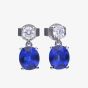 Diamonfire Sterling Silver Blue Cubic Zirconia Drop Earrings E5978