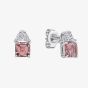 Diamonfire Sterling Silver Pink Cubic Zirconia Stud Earrings E6704
