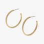 Olivia Burton Classic Linear Gold Plated Hoop Earrings 24100011