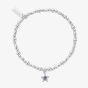 ChloBo Sterling Silver February Birthstone Bracelet SBBCB3482