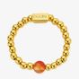 ChloBo Fearless Light 18ct Gold Plated & Sodalite Mini Ring GR_FA