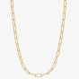 Ania Haie Vogue Maven 14ct Gold Plated Paper Link Chain N062-05G