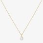 Ania Haie Miss Dainty 14ct Gold Plated Shell Pearl Pendant Necklace N065-01G