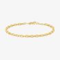 Ania Haie Vogue Maven 14ct Gold Plated Medium Chain Bracelet B062-03G