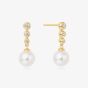Ania Haie Miss Dainty 14ct Gold Plated Cubic Zirconia Shell Pearl Drop Earrings E065-03G
