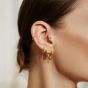 Ania Haie Vogue Maven 14ct Gold Plated Medium Tube Hoop Earrings E062-03G