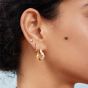Ania Haie Luna Gaze Gold Plated Cubic Zirconia Tide Huggie Earrings E075-13G