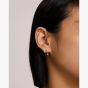 Ania Haie Starlit Drops Silver Zig-Zag Shell Pearl Stud Earrings E074-11H