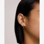 Ania Haie Starlit Drops 14ct Gold Plated Zig-Zag Shell Pearl Stud Earrings E074-11G