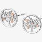 Clogau Tree of Life Stud Earrings 3SNTLCSE