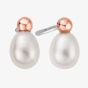 Clogau Welsh Beachcomber Stud Earrings 3SBCH0632