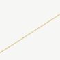 D.Louise Yellow Gold Tone Plated Stainless Steel Single Dainty Bracelet GB-013