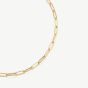D.Louise Yellow Gold Tone Plated Stainless Steel Paperclip Chain GN-010