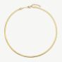 D.Louise Yellow Gold Tone Plated Stainless Steel Snake Chain GN-004