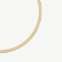 D.Louise Yellow Gold Tone Plated Stainless Steel Snake Chain GN-004