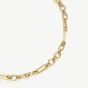 D.Louise Yellow Gold Tone Plated Stainless Steel Eternal Link Chain NAN-06