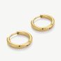 D.Louise 14ct Yellow Gold Plated Stainless Steel Essential Extra Small Hoop Earrings GE-067