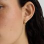 D.Louise Yellow Gold Tone Plated Stainless Steel Wave Huggie Hoop Earrings THE-061