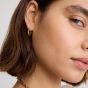 D.Louise Yellow Gold Tone Plated Stainless Steel Tapered Oval Hoop Earrings NAE-28