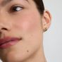 D.Louise Yellow Gold Tone Plated Stainless Steel Knot Stud Earrings YBE-14