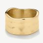 D.Louise Yellow Gold Tone Plated Stainless Steel Textured Band Ring GR-040