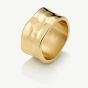 D.Louise Yellow Gold Tone Plated Stainless Steel Textured Band Ring GR-040