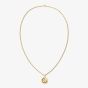 Tommy Hilfiger Yellow Gold Tone Plated Compass Pendant 2790721