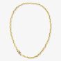 Tommy Hilfiger Yellow Gold Tone Plated Stainess Steel Logo Clasp Chain 2790746