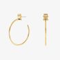 Tommy Hilfiger Monogram Hoop Gold plated Earrings 2780720