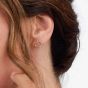 Kit Heath Alicia Golden Petite Stud Earrings 40019GRP