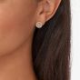 Fossil Halo Rose Gold-Tone Stud Earrings JF03263791